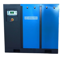 Винтовой компрессор Hansmann RS22E 10 бар