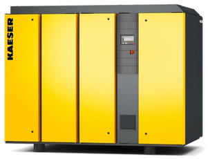 Винтовой компрессор Kaeser DSG 220-2 6