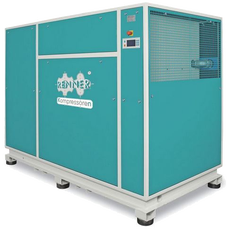 Винтовой компрессор Renner RS 355 DW-13